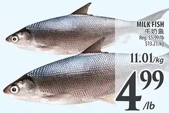 Al Premium Food Mart Milk fish offer