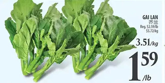 Al Premium Food Mart Gai lan offer