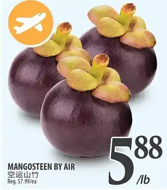 Al Premium Food Mart MANGOSTEEN BY AIR offer