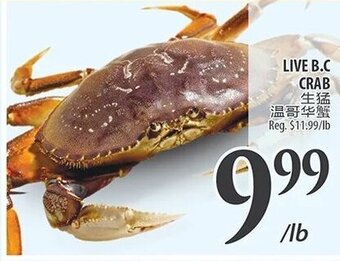Al Premium Food Mart LIVE B.C CRAB offer