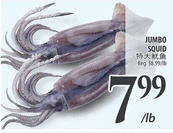 Al Premium Food Mart JUMBO SQUID offer