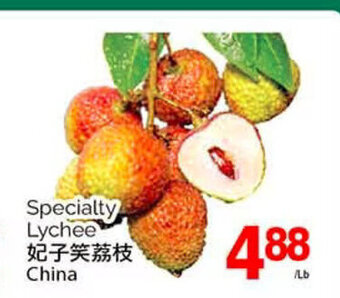 T&T Supermarket Specialty Lychee offer