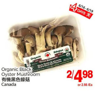 T&T Supermarket Organic Black Oyster Mushroom offer