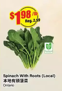 Btrust Supermarket Spinach with roots offer
