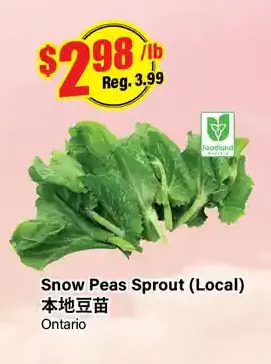 Btrust Supermarket Snow peas sprout offer