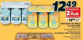 IGA BOISSON DE MALT ALCOOLISÉE PALM BAY OR BEACH DAY offer