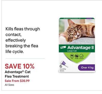 Petvalu Advantage® Cat Flea Treatment offer