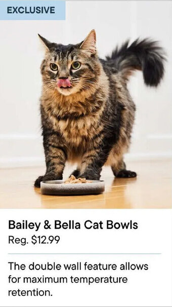 Petvalu Bailey & Bella Cat Bowls offer