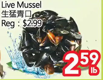 Superking Supermarket Live mussel offer