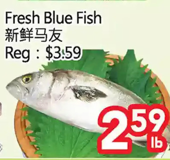 Superking Supermarket Fresh blue fish offer