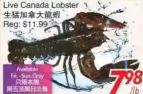 Foody World Live canada lobster offer
