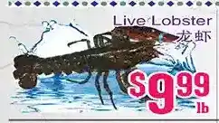 Grant's Foodmart Live lobster offer