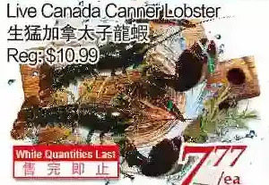 Tone Tai Supermarket Live canada canner lobster offer