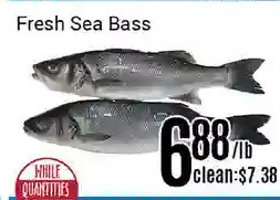 Nations Fresh Foods Fresh sea bass offer