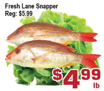 Top Food Supermarket Fresh lane snapper offer
