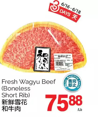 T&T Supermarket Fresh wagyu beef (boneless short rib) offer