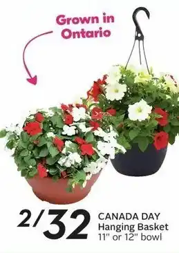 Sobeys CANADA DAY Hanging Basket 11" or 12" bowl offer