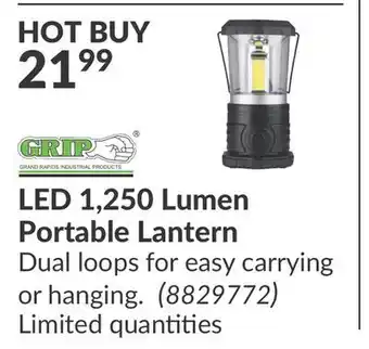 Princess Auto Grand rapids industrial products led 1, 250 lumen portable lantern offer