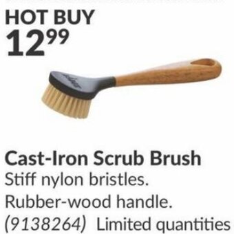 Princess Auto Cast-Iron Scrub Brush offer