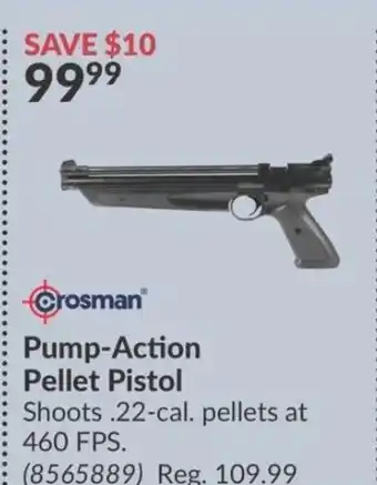 Princess Auto Crosman® Pump-Action Pellet Pistol offer