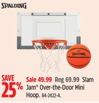 Canadian Tire Spalding slam jam over-the-door mini hoop offer