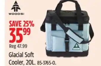 Canadian Tire Woods glacial soft cooler, 20l offer