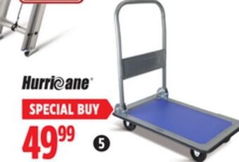 Canadian Tire Hurricane platform cart offer