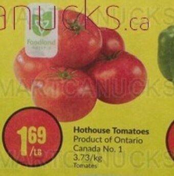 FreshCo Hothouse Tomatoes offer