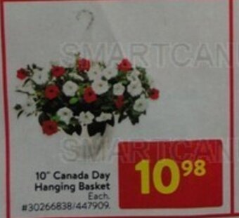 Walmart Hanging Basket offer