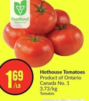 FreshCo Hothouse Tomatoes offer