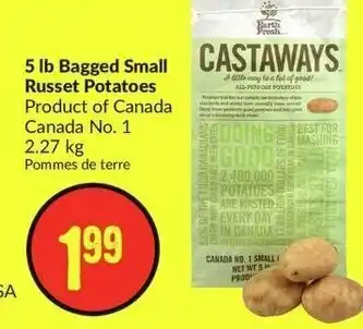FreshCo 5 lb Bagged Small Russet Potatoes offer