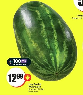 FreshCo Long Seeded Watermelon offer