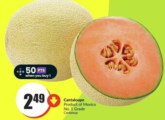 FreshCo Cantaloupe offer