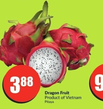 FreshCo Dragon Fruit offer