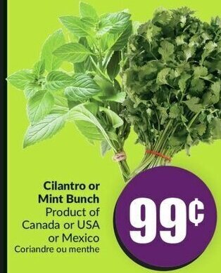 FreshCo Cilantro or Mint Bunch offer