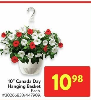 Walmart 10" Canada Day Hanging Basket offer