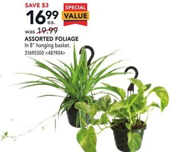 Lowe's Assorted foliage offer