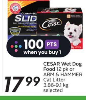 Sobeys Cesar wet dog food offer