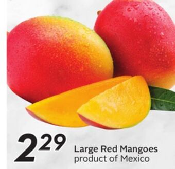 Sobeys Large red mangoes offer