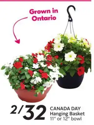 Sobeys Canada day hanging basket offer