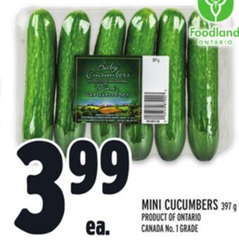 Metro Mini cucumbers offer