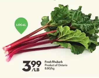 Longo's Fresh rhubarb offer