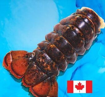 Longo's Frozen canadian lobster tails offer