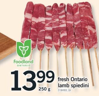 Fortinos Fresh ontario lamb spiedini,250 g offer