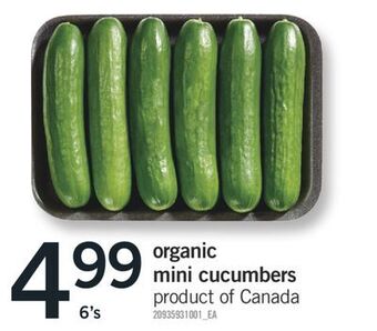 Fortinos Organic mini cucumbers, 6's offer