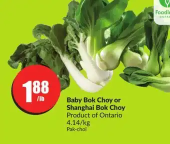 FreshCo Baby bok choy or shanghai bok choy 4.14/kg offer