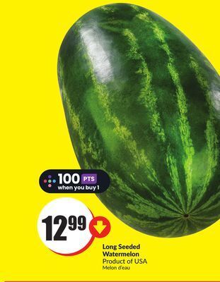 FreshCo Long seeded watermelon product of usa offer