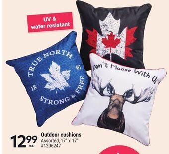 Giant Tiger Outdoor cushions offer