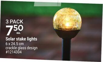 Giant Tiger Solar stake lights offer