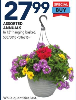 RONA Assorted annuals offer